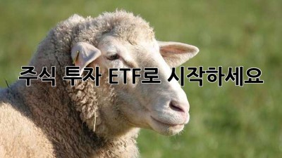 주식 투자, ETF로 시작하세요!